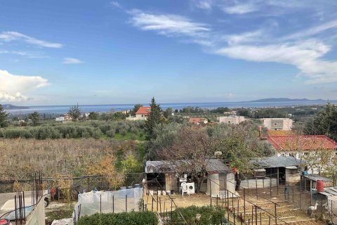 4 bedrooms Building in Gazi, Greece No. 108748 5