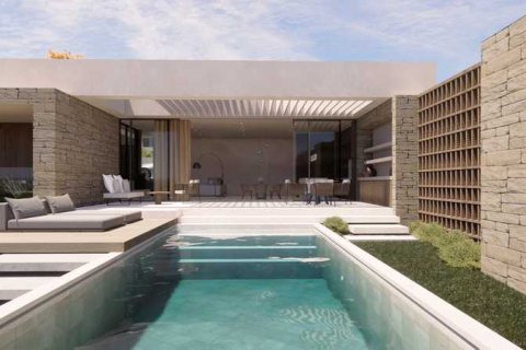 Дом с 4 спальнями в Пейя, Кипр №79408 11