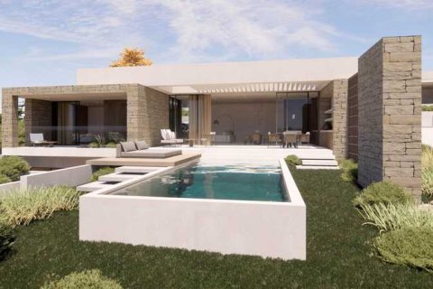 Дом с 4 спальнями в Пейя, Кипр №79408 13