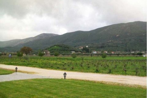 4 chambres Hotel à Zakynthos, Greece No. 24709 2