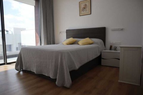 3 chambres Villa à Geroskípou, Cyprus No. 70976 13