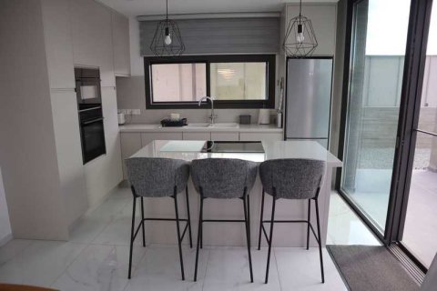 3 chambres Villa à Geroskípou, Cyprus No. 70976 8