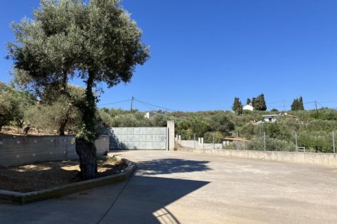 3 bedrooms House in Chania, Greece No. 81111 14