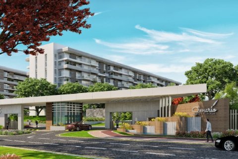 116m² House in Clave, France No. 69481 23