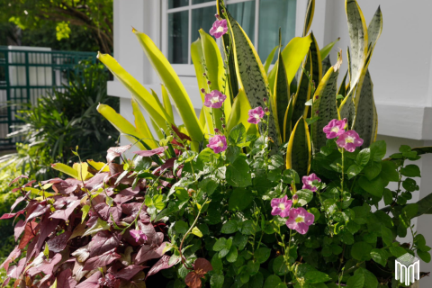 5 bedrooms House in Chiang Mai, Thailand No. 97892 13