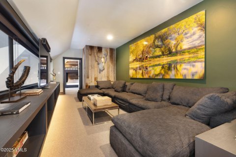 4 bedrooms Condo  in Beaver Creek, USA No. 104580 10