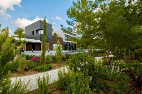 6 bedrooms Villa in Souni–Zanatzia, Cyprus No. 80774 4