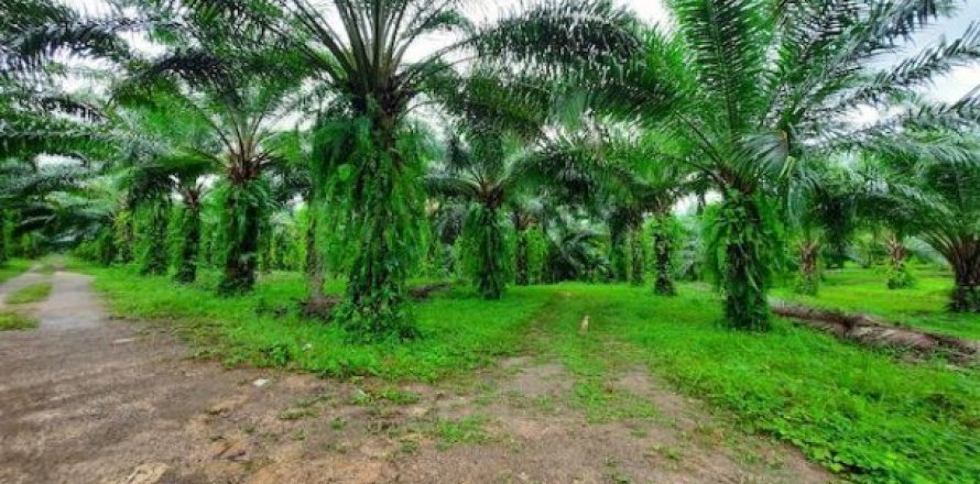 178788m² Land in Krabi, Thailand No. 96959