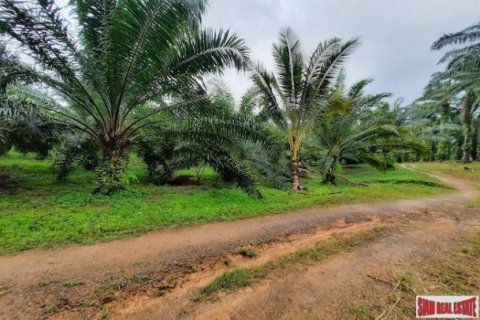 178788m² Land in Krabi, Thailand No. 96959 7