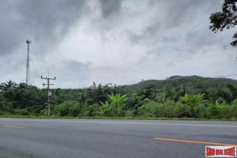 178788m² Land in Krabi, Thailand No. 96959 2