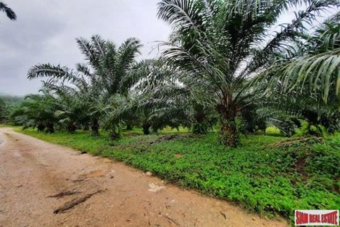 178788m² Land in Krabi, Thailand No. 96959 4