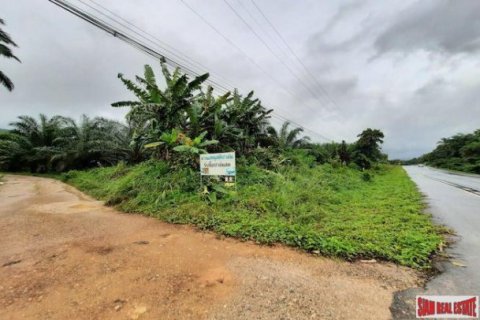 178788m² Land in Krabi, Thailand No. 96959 3