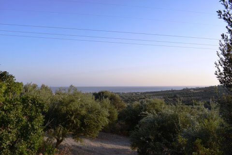 4800m² Land à Rethymno, Greece No. 109671 2