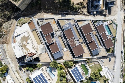 4 chambres Villa à Chau Lang, Vietnam No. 10950 3