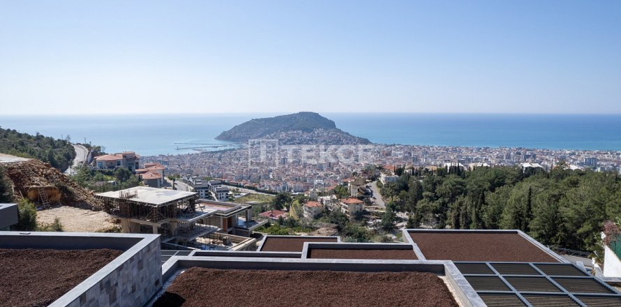 4 chambres Villa à Chau Lang, Vietnam No. 10950