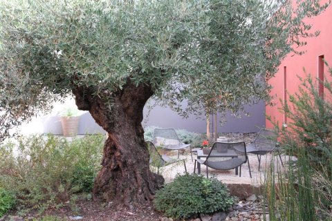 350m² House en Faugeres, France No. 68916 6