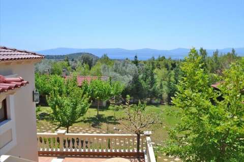 550m² House in Euboea, Greece No. 59536 16