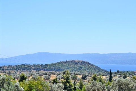 550m² House in Euboea, Greece No. 59536 5