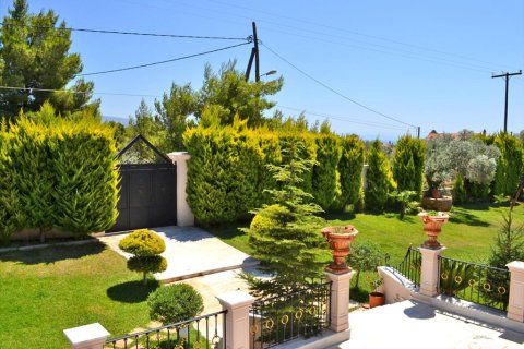 550m² House in Euboea, Greece No. 59536 12