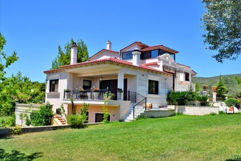 550m² House in Euboea, Greece No. 59536 1