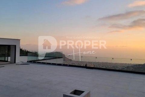 Вилла с 8 комнатами в Chau Lang, Вьетнам №14190 16