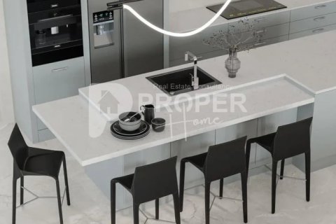 Вилла с 8 комнатами в Chau Lang, Вьетнам №14190 4