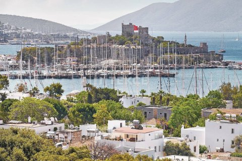 5 bedrooms Villa in Phi Dien, Vietnam No. 11070 10