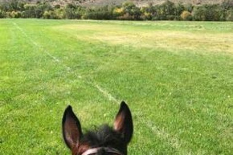 Дом с 6 спальнями в Нью Касл, США №75511 7