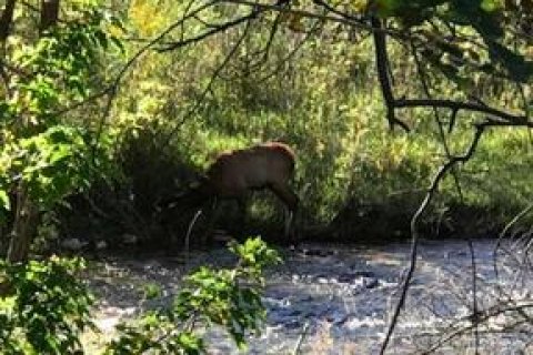 Дом с 6 спальнями в Нью Касл, США №75511 3