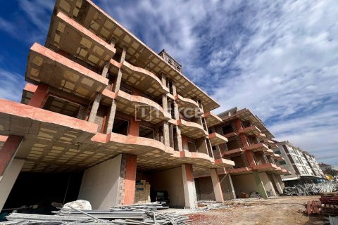 3 bedrooms Penthouse in Chau Lang, Vietnam No. 44233 23