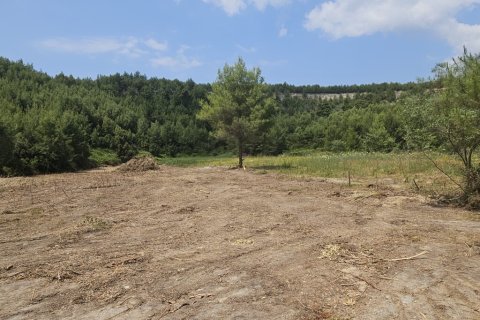 4100m² Land in Chalkidiki, Greece No. 107617 3