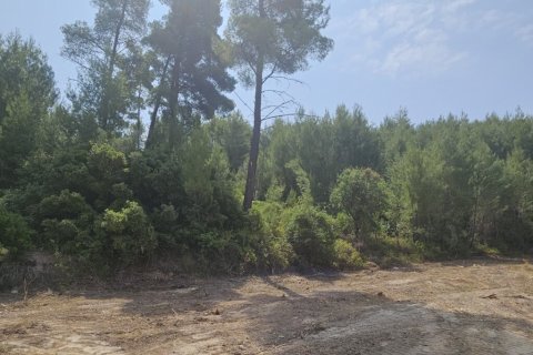 4100m² Land in Chalkidiki, Greece No. 107617 4