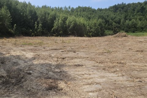 4100m² Land in Chalkidiki, Greece No. 107617 5