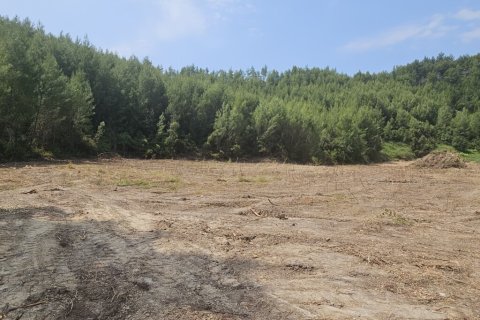 4100m² Land in Chalkidiki, Greece No. 107617 1