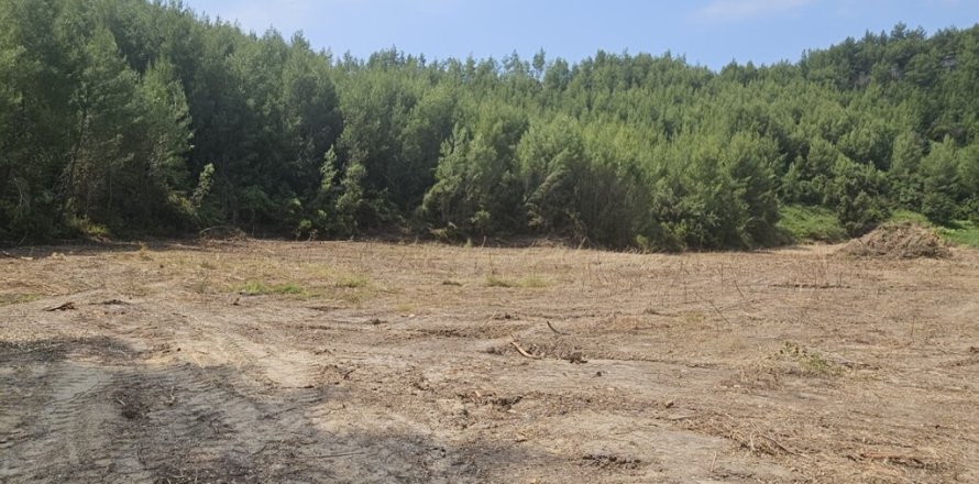 4100m² Land à Chalkidiki, Greece No. 107617