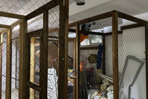 4 rooms Appartement à Chau Lang, Vietnam No. 22062 25