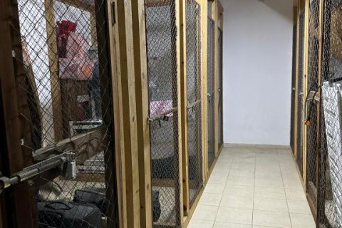 4 rooms Appartement à Chau Lang, Vietnam No. 22062 29