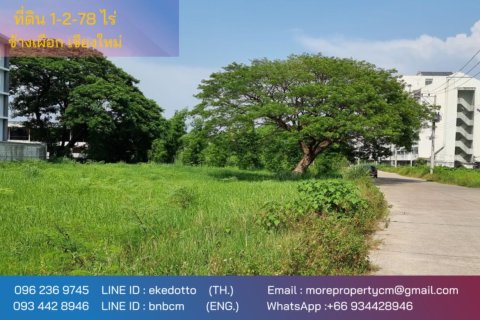 Land in Chiang Mai, Thailand No. 97916 1