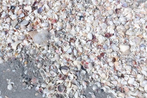 3 bedrooms Villa in Sanibel, USA No. 62401 29