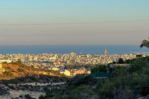 4 chambres House à Limassol, Cyprus No. 40060 2