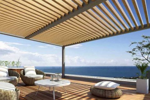 Вилла с 3 спальнями в Пейя, Кипр №29114 2