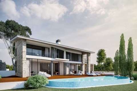 Вилла с 3 спальнями в Пейя, Кипр №81647 1