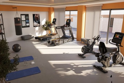 2 chambres Penthouse à Chau Lang, Vietnam No. 88747 3