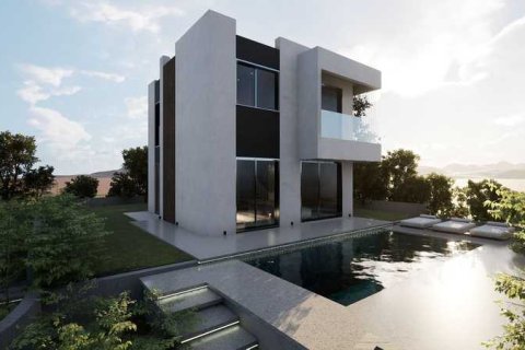 Вилла с 4 спальнями в Пейя, Кипр №75129 5