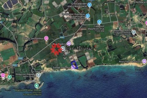 Commercial property à Mazotos, Cyprus No. 82930 3