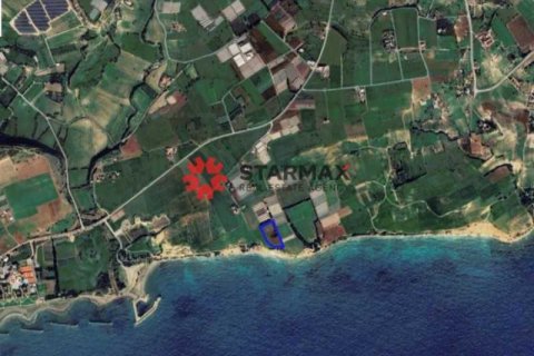 Commercial property à Mazotos, Cyprus No. 82930 1