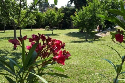 3 bedrooms Maisonette in Chalkidiki, Greece No. 54830 15