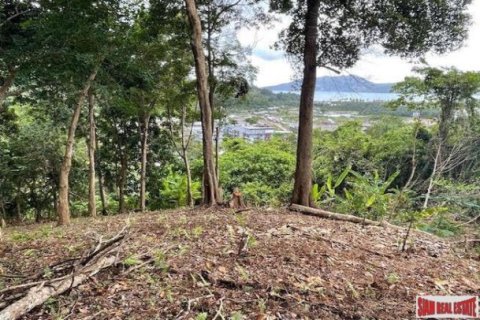 16000m² Land in Patong, Thailand No. 96097 7