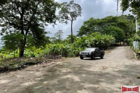 16000m² Land in Patong, Thailand No. 96097 4