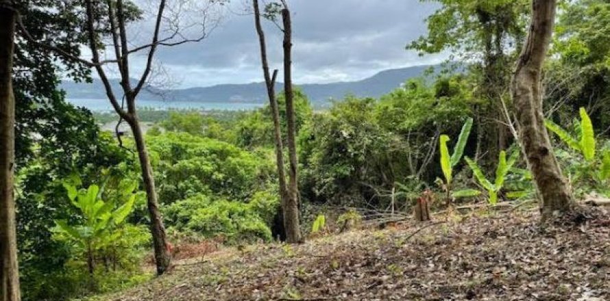 16000m² Land in Patong, Thailand No. 96097